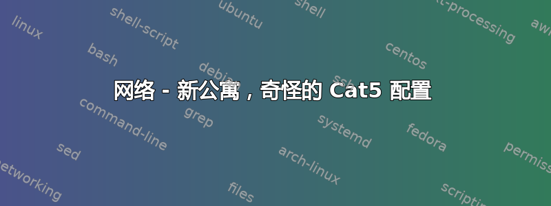 网络 - 新公寓，奇怪的 Cat5 配置