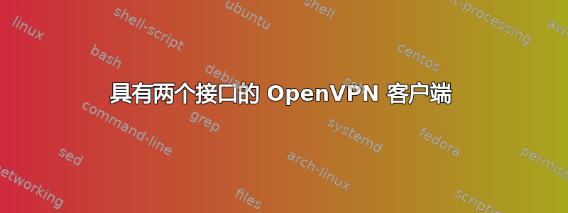 具有两个接口的 OpenVPN 客户端