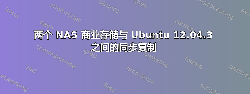 两个 NAS 商业存储与 Ubuntu 12.04.3 之间的同步复制