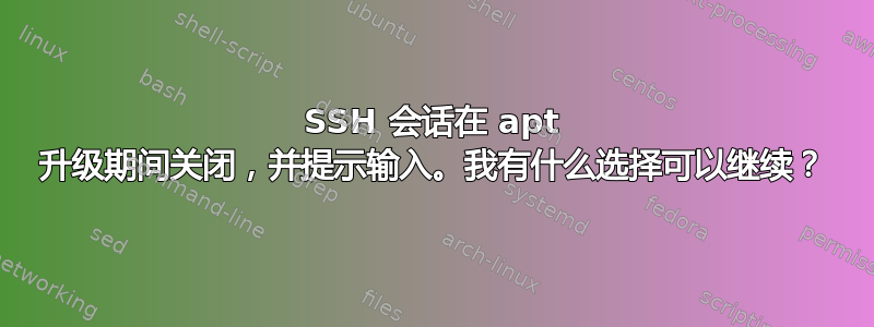 SSH 会话在 apt 升级期间关闭，并提示输入。我有什么选择可以继续？