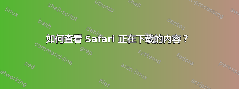 如何查看 Safari 正在下载的内容？