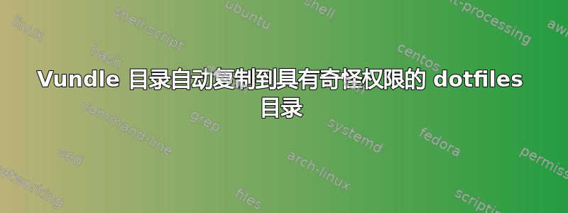 Vundle 目录自动复制到具有奇怪权限的 dotfiles 目录