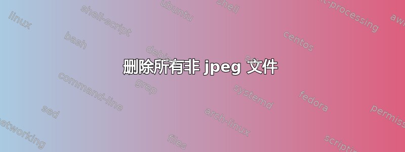 删除所有非 jpeg 文件