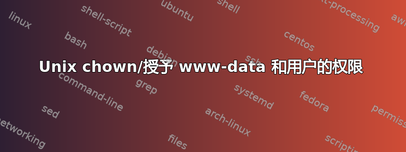 Unix chown/授予 www-data 和用户的权限