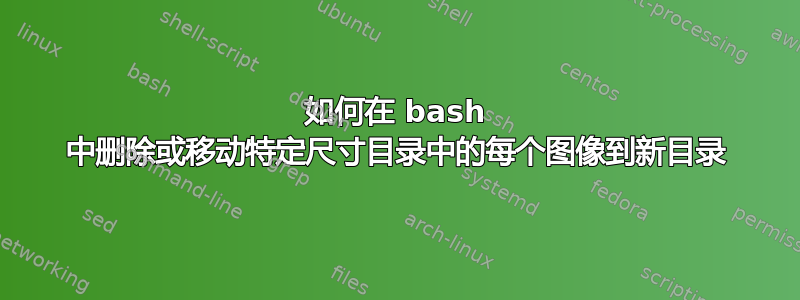 如何在 bash 中删除或移动特定尺寸目录中的每个图像到新目录