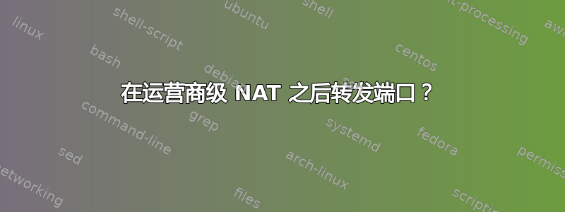 在运营商级 NAT 之后转发端口？