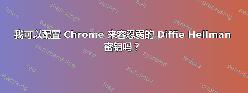 我可以配置 Chrome 来容忍弱的 Diffie Hellman 密钥吗？