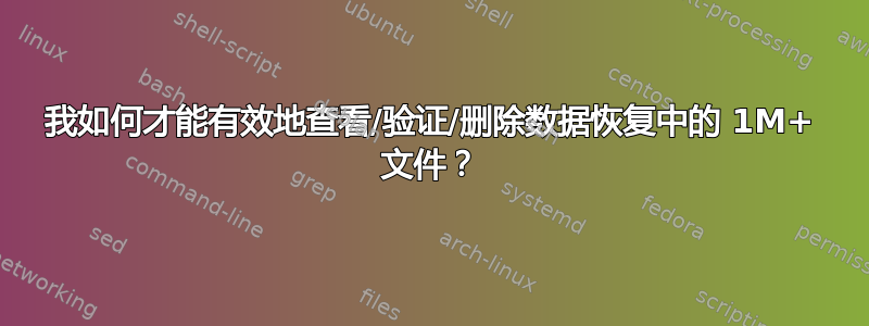 我如何才能有效地查看/验证/删除数据恢复中的 1M+ 文件？