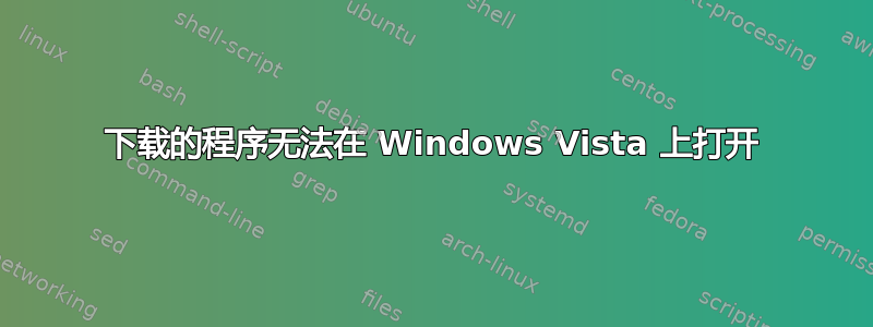 下载的程序无法在 Windows Vista 上打开