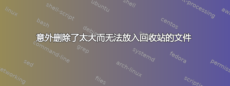 意外删除了太大而无法放入回收站的文件