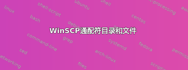 WinSCP通配符目录和文件