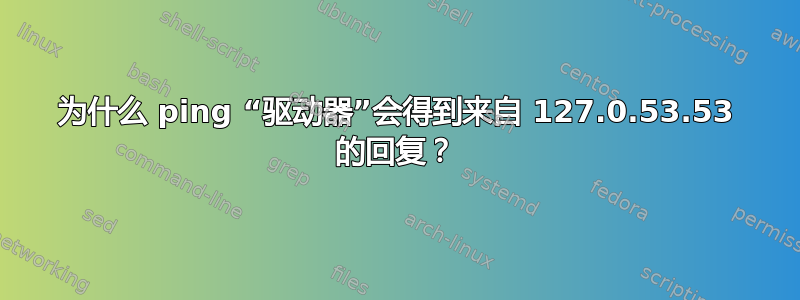 为什么 ping “驱动器”会得到来自 127.0.53.53 的回复？