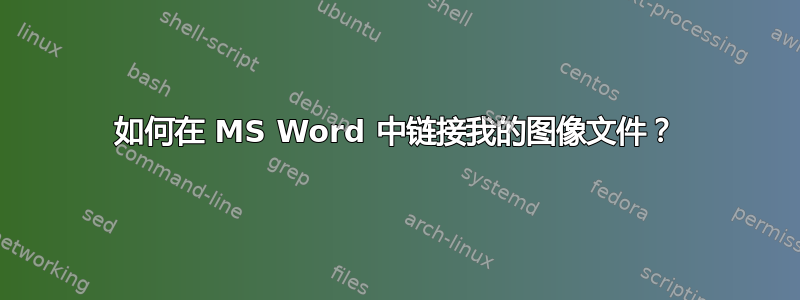 如何在 MS Word 中链接我的图像文件？