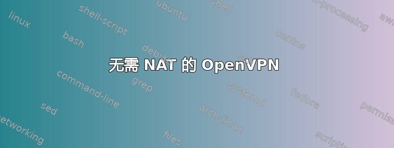 无需 NAT 的 OpenVPN