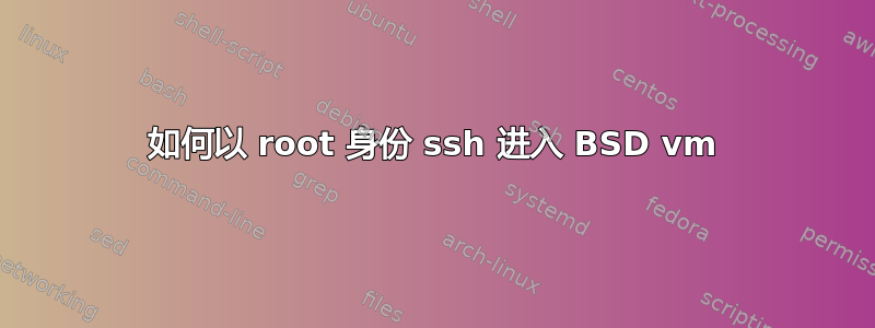 如何以 root 身份 ssh 进入 BSD vm