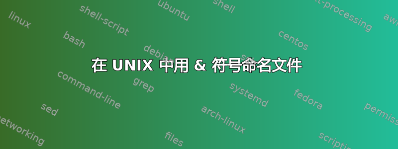 在 UNIX 中用 & 符号命名文件