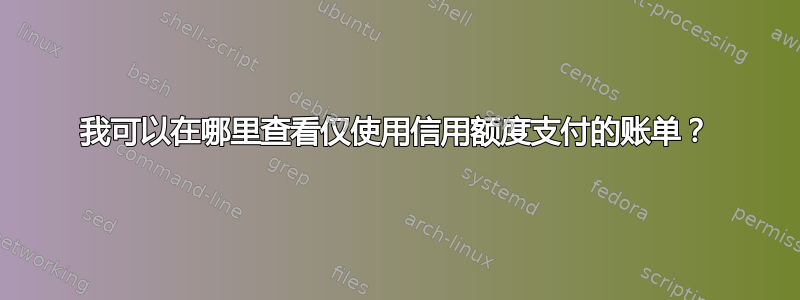 我可以在哪里查看仅使用信用额度支付的账单？