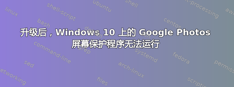 升级后，Windows 10 上的 Google Photos 屏幕保护程序无法运行