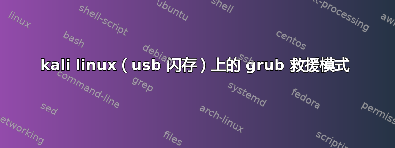 kali linux（usb 闪存）上的 grub 救援模式