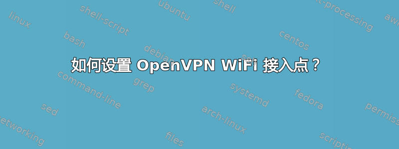 如何设置 OpenVPN WiFi 接入点？