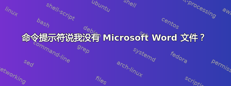 命令提示符说我没有 Microsoft Word 文件？