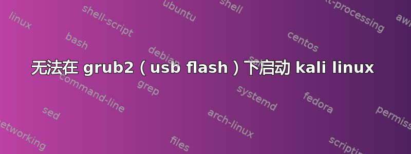 无法在 grub2（usb flash）下启动 kali linux