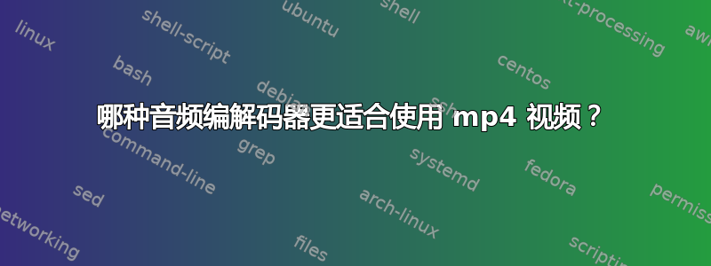 哪种音频编解码器更适合使用 mp4 视频？