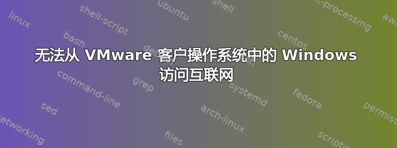 无法从 VMware 客户操作系统中的 Windows 访问互联网