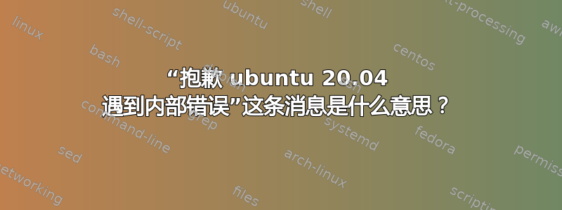 “抱歉 ubuntu 20.04 遇到内部错误”这条消息是什么意思？