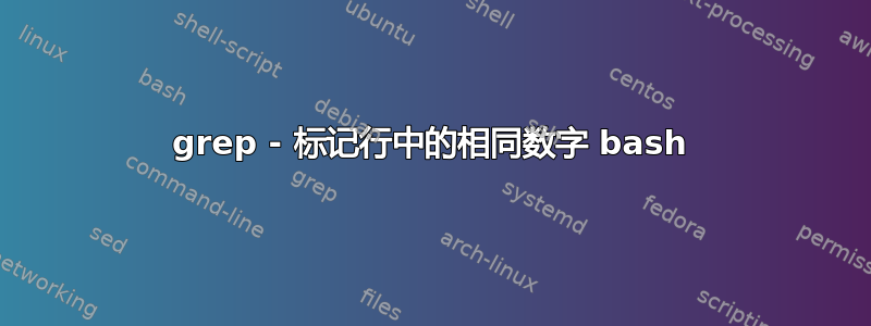 grep - 标记行中的相同数字 bash