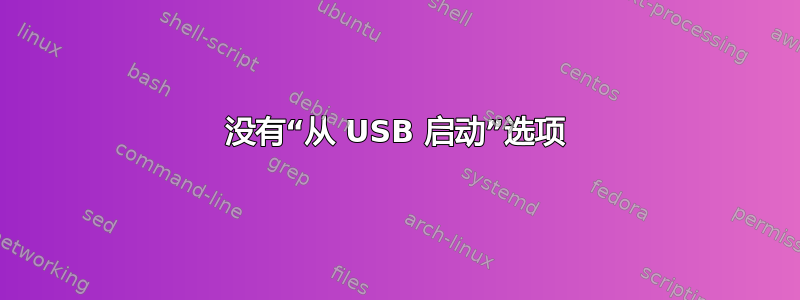 没有“从 USB 启动”选项