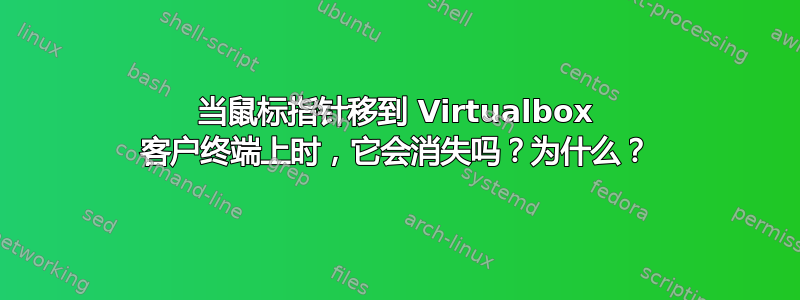 当鼠标指针移到 Virtualbox 客户终端上时，它会消失吗？为什么？