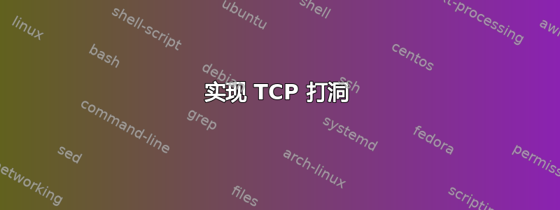 实现 TCP 打洞