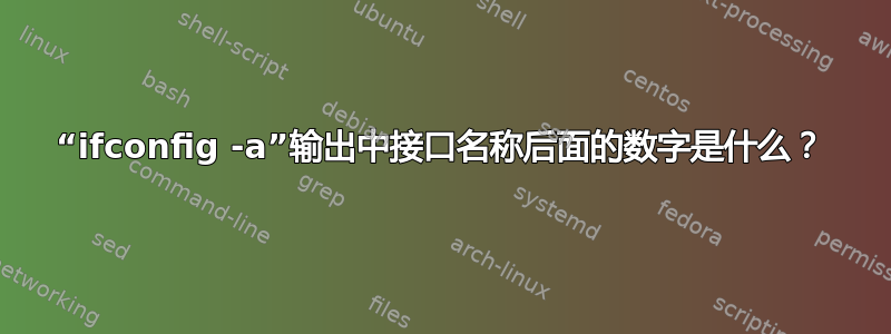 “ifconfig -a”输出中接口名称后面的数字是什么？