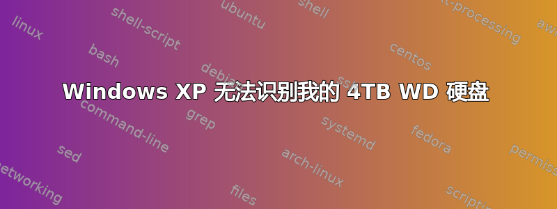 Windows XP 无法识别我的 4TB WD 硬盘