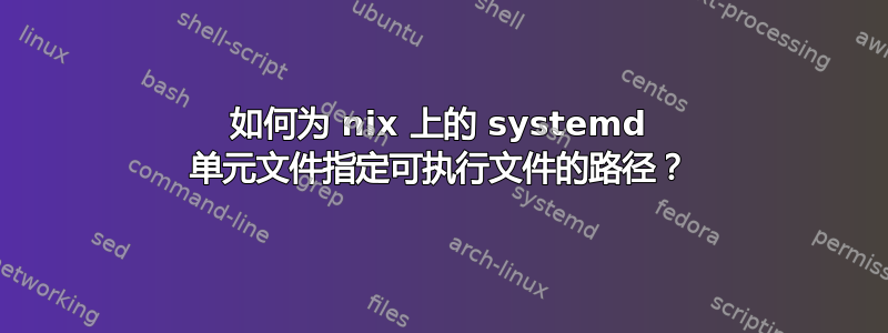 如何为 nix 上的 systemd 单元文件指定可执行文件的路径？