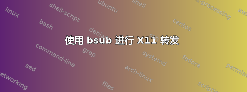 使用 bsub 进行 X11 转发