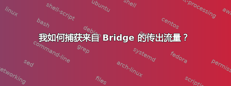 我如何捕获来自 Bridge 的传出流量？