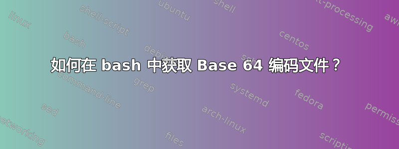 如何在 bash 中获取 Base 64 编码文件？