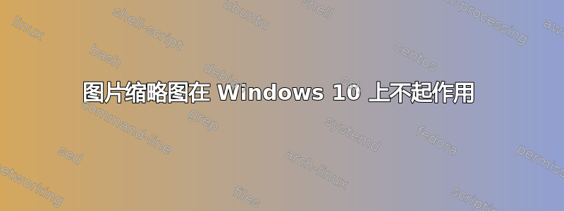 图片缩略图在 Windows 10 上不起作用