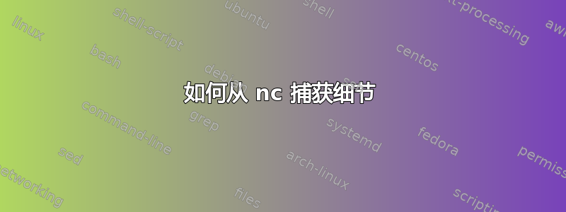 如何从 nc 捕获细节