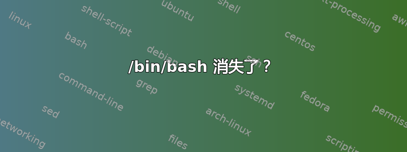 /bin/bash 消失了？