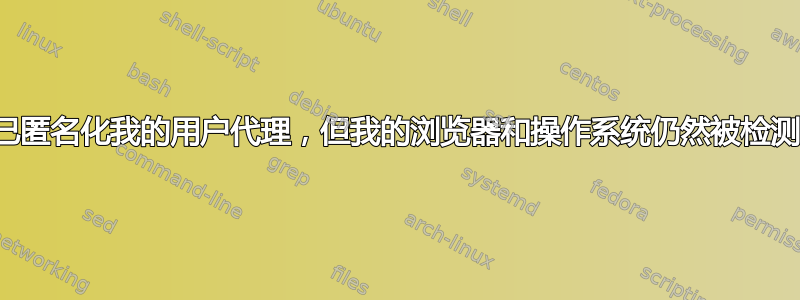 我已匿名化我的用户代理，但我的浏览器和操作系统仍然被检测到