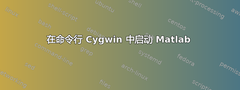 在命令行 Cygwin 中启动 Matlab