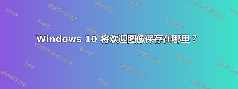 Windows 10 将欢迎图像保存在哪里？