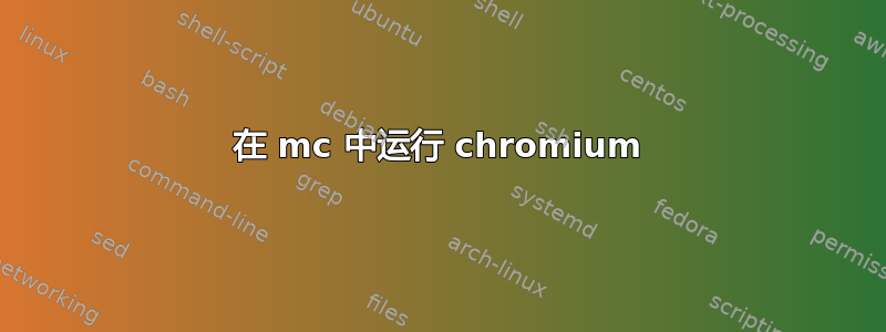 在 mc 中运行 chromium