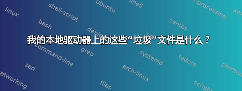 我的本地驱动器上的这些“垃圾”文件是什么？