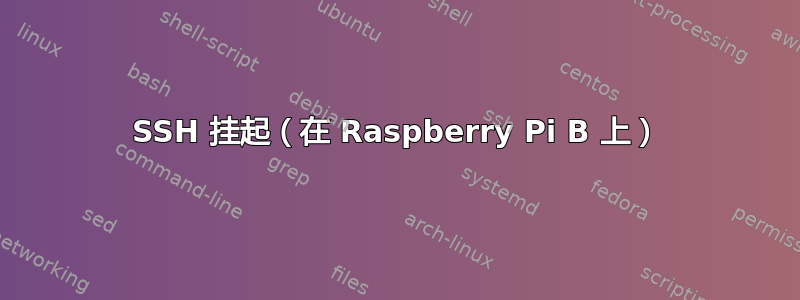 SSH 挂起（在 Raspberry Pi B 上）