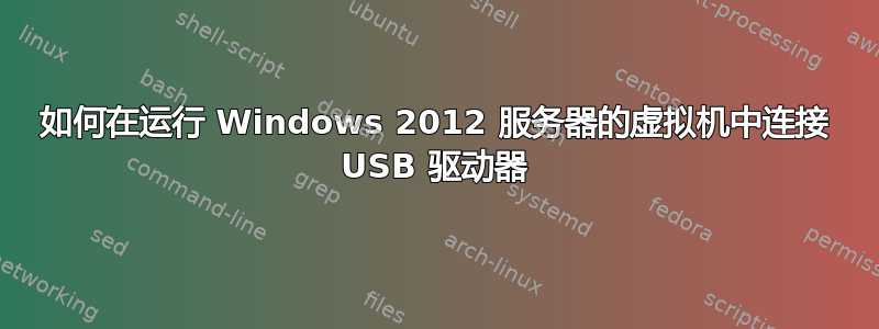 如何在运行 Windows 2012 服务器的虚拟机中连接 USB 驱动器