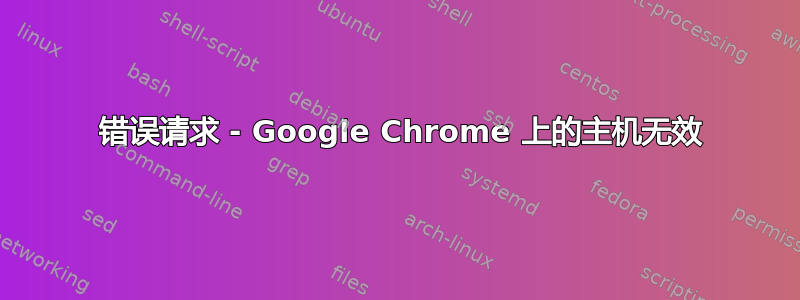 400 错误请求 - Google Chrome 上的主机无效